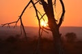 sunset Rise Kruger park South africa