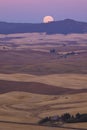 Sunset and rising full moon from Steptoe Butte, Palouse Valley, Royalty Free Stock Photo