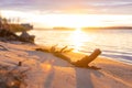 Sunset river beach view with snag Royalty Free Stock Photo