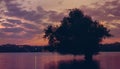 Sunset on the river Danube with tree reflected in water Royalty Free Stock Photo