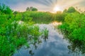 Sunset at river with reflection sun beams