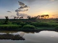 Sunset Riverside Green Greenery Cloudy Sky Royalty Free Stock Photo