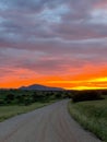 Sunset road grassland prairie in Arizona Royalty Free Stock Photo