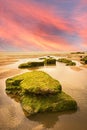 Sunset on a rocky beach Royalty Free Stock Photo