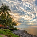 Sunset, rocky beach, palm trees, beautiful sky Royalty Free Stock Photo