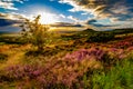 Sunset at Roseberry Topping, North Yorkshire Royalty Free Stock Photo