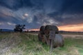 Sunset in rural Australia Royalty Free Stock Photo