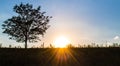 Sunset on Rural Hillside Royalty Free Stock Photo