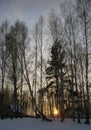 Sunset in Russian snow forest