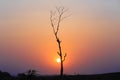Sunset With Sad Tree Royalty Free Stock Photo