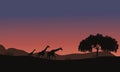 Sunset at Safari and Giraffes Family Royalty Free Stock Photo