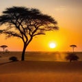 Sunset safari in tranquil wilderness landscape