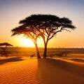 Sunset safari in tranquil wilderness landscape