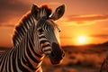 Sunset safari Zebra in the African savannah, celebrating Africa day