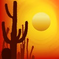 Sunset with Saguaro Cactus. Vector background.