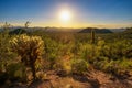 Sunset in Saguaro National Park in Arizona