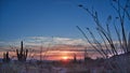 Sunset at Saguaro National Park in Arizona Royalty Free Stock Photo