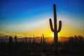 Sunset at the Saguaro National Park, Tucson AZ Royalty Free Stock Photo