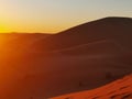 Sunset in the Sahara desert dunes Royalty Free Stock Photo