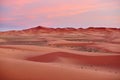 Sunset at Sahara Desert, Merzouga, Morocco Royalty Free Stock Photo