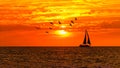 Sunset Sailboat Ocean Sail Boat Birds Flying Beach Inspiration Sailing Journey 16:9 Royalty Free Stock Photo