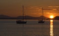 Sunset Sailboats