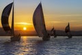 Sunset sailing in Tauranga New Zealand