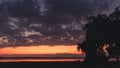 Sunset of Saint Simons Sound across the salt marshes of Jekyll Island, Georgia