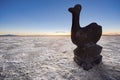 Sunset in Salinas Grandes in Jujuy, Argentina Royalty Free Stock Photo