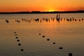 Sunset at Salt lake in Eupatoria, Crimea Royalty Free Stock Photo