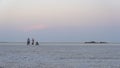 Sunset on the salt plains of Asale Lake in the Danakil Depression in Ethiopia, Africa