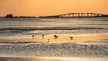 Sunset, San Carlos Bay, Bunche Beach Preserve, Florida Royalty Free Stock Photo