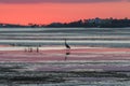 Sunset, San Carlos Bay, Bunche Beach Preserve, Florida Royalty Free Stock Photo