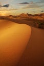 sunset on sand dune in the sahara desert Royalty Free Stock Photo