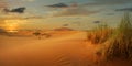 Sunset on sand dune in the sahara desert Royalty Free Stock Photo