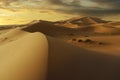Sunset on sand dune in the sahara desert Royalty Free Stock Photo