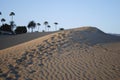 Sunset in the sand dunes of the Maspalomas, palm trees and an oasis in the background. Royalty Free Stock Photo