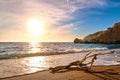 Sunset on sandy beach, piece of driftwood washed by tidal waves. Big low sun, sun flares on sea waters, hazy clouds Royalty Free Stock Photo