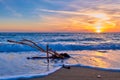 Sunset on sandy beach, piece of driftwood washed by tidal waves. Great sunset sky, golden sand, white sea spray, peace Royalty Free Stock Photo