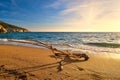 Sunset on sandy beach, piece of driftwood washed by tidal waves. Hazy clouds, golden sand, rocky cliffs, peace and Royalty Free Stock Photo