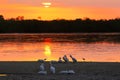 Sunset at Sanibel island, Florida Royalty Free Stock Photo