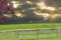 Sunset Satellite Dish Royalty Free Stock Photo