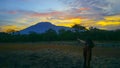 Sunset in Savana Bekol in Baluran National Park Royalty Free Stock Photo