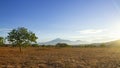 sunset at savana bekol, Baluran National Park, Situbondo, East Java, Indonesia Royalty Free Stock Photo