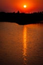 Sunset scene of golden sky reflecting on the water with silhouette trees, vertical shot Royalty Free Stock Photo