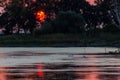 Sunset scene over lake, with sun coming down behind some trees and reflecting on water Royalty Free Stock Photo