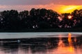 Sunset scene over lake, with sun coming down behind some trees and reflecting on water Royalty Free Stock Photo