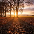 Sunset scene in a park with Royalty Free Stock Photo