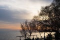 Sunset scene of tree branches and people silhouettes at Paleo Faliro beach in Athens, Greece