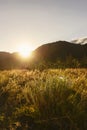 Sunset in field Royalty Free Stock Photo